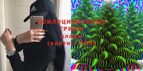 гидропоника Алексеевка