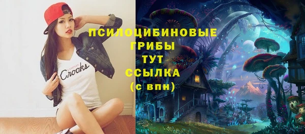 метадон Алексин