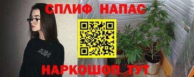гидропоника Канаш