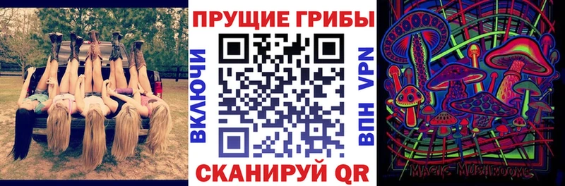 Псилоцибиновые грибы мухоморы  купить наркотик  Железноводск 
