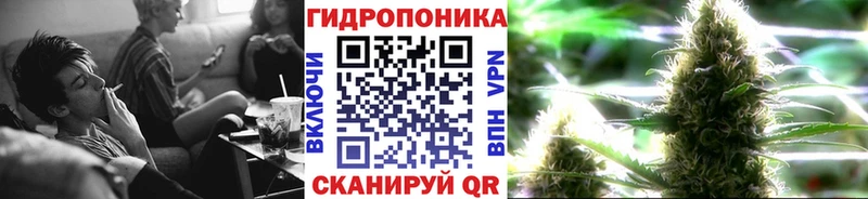 Бошки марихуана Bruce Banner  гидра как зайти  Железноводск 